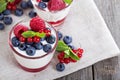 Jogurt and jelly dessert with berries Royalty Free Stock Photo