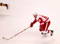 Johan Franzen Detroit Red Wings Royalty Free Stock Photo