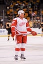 Johan Franzen Detroit Red Wings