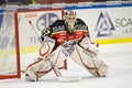 Johan Gustafsson - Ice Hockey Goalie Royalty Free Stock Photo