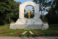 Johann Strauss monument - Vienna - Austria Royalty Free Stock Photo