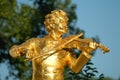 Johann Strauss Vienna Royalty Free Stock Photo