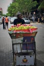 Street fruit seller small business