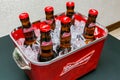 Budweiser bottles of beer in red branded ice bucket on bar counter Royalty Free Stock Photo