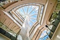 Interior of Glass Dome Roof of Shopping Center Mall Royalty Free Stock Photo