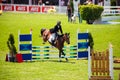 Equestrian Show Jumping and Horse Riding display