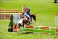 Equestrian Show Jumping and Horse Riding display