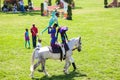 Equestrian Show Jumping and Horse Riding display