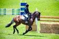 Equestrian Show Jumping and Horse Riding display