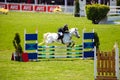 Equestrian Show Jumping and Horse Riding display