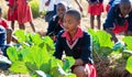 School children learning about agriculture and farming