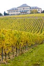 Johannisberg Castle with vineyard, Hessen, Germany Royalty Free Stock Photo