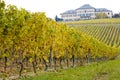 Johannisberg Castle with vineyard, Hessen, Germany Royalty Free Stock Photo