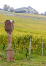 Johannisberg Castle with vineyard, Hessen, Germany Royalty Free Stock Photo