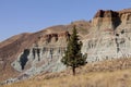 John day fossil beds, oregon, USA