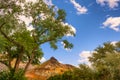 John Day Fossil Beds Sheep Rock Unit Landscape