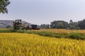 John Deere pick thresher dumps rice into wagon, Hunumanahalli, Karnataka, India