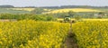 John Deere R4040i sprayer spraying in RSO field Royalty Free Stock Photo