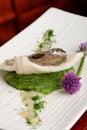 John Dory fish fillet on spinach Royalty Free Stock Photo