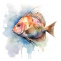 john dory Generative Ai