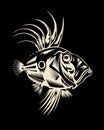 John Dory Vector - fish illustration for logo and T-shirt