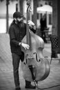 John F. Kennedy plays upright bass with The V-Tones of Charlston in Beaufort, South Carolina Royalty Free Stock Photo