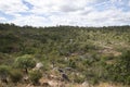 John Forrest National Park rocky landscape Royalty Free Stock Photo