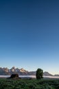 John Moulton Barn in Grand Teton National Park in the Mormon Row area at sunrise. Negative Space composition