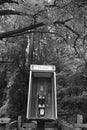 John Muir Woods phone booth