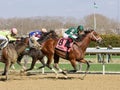 Great horse Racing Photos by Fleetphoto