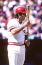 Johnny Bench Cincinnati Reds