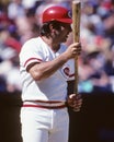 Johnny Bench