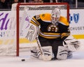 Tim Thomas Boston Bruins #30 Royalty Free Stock Photo