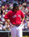 Johnny Damon Boston Red Sox Royalty Free Stock Photo