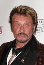 Johnny Hallyday Royalty Free Stock Photo