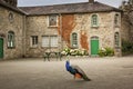 Johnstown Castle. county Wexford. Ireland. Royalty Free Stock Photo