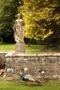 Johnstown Castle. county Wexford. Ireland. Royalty Free Stock Photo