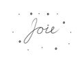 Joie phrase handwritten with a calligraphy brush. Joy in French. Modern brush calligraphy. Isolated word black Royalty Free Stock Photo