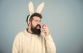 Join celebration. Having fun. Grinning bearded man wear silly bunny ears. Easter symbol concept. Hipster cute bunny long