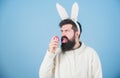 Join celebration. Having fun. Grinning bearded man wear silly bunny ears. Easter symbol concept. Hipster cute bunny long