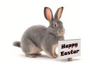 Join Our Festive Gray Fluffy Rabbit in Easter Fun. Royalty Free Stock Photo