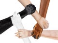 Joined paws hands in a circle as a team Royalty Free Stock Photo