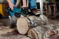 Joiner in the workshop saws the tree with an electric chainsaw. carpenter in the process of sawing. Royalty Free Stock Photo