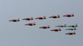 Joint flypast of British Red Arrows and Royal Bahrain Air Force