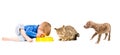 Joint food boy, cat and puppy Royalty Free Stock Photo