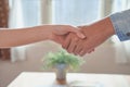 Joint Hands of Two Businessmen After Negotiating a Successful Business Agreement, And the handshake together.