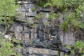 Jointed Moine Schist Rockface supporting vegetation Royalty Free Stock Photo