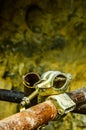 joints scaffolding clamps and safety on blurry background . Royalty Free Stock Photo