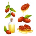 jojoba natural oil set cartoon vector illustration color sign