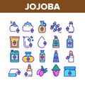 Jojoba Natural Product Collection Icons Set Vector